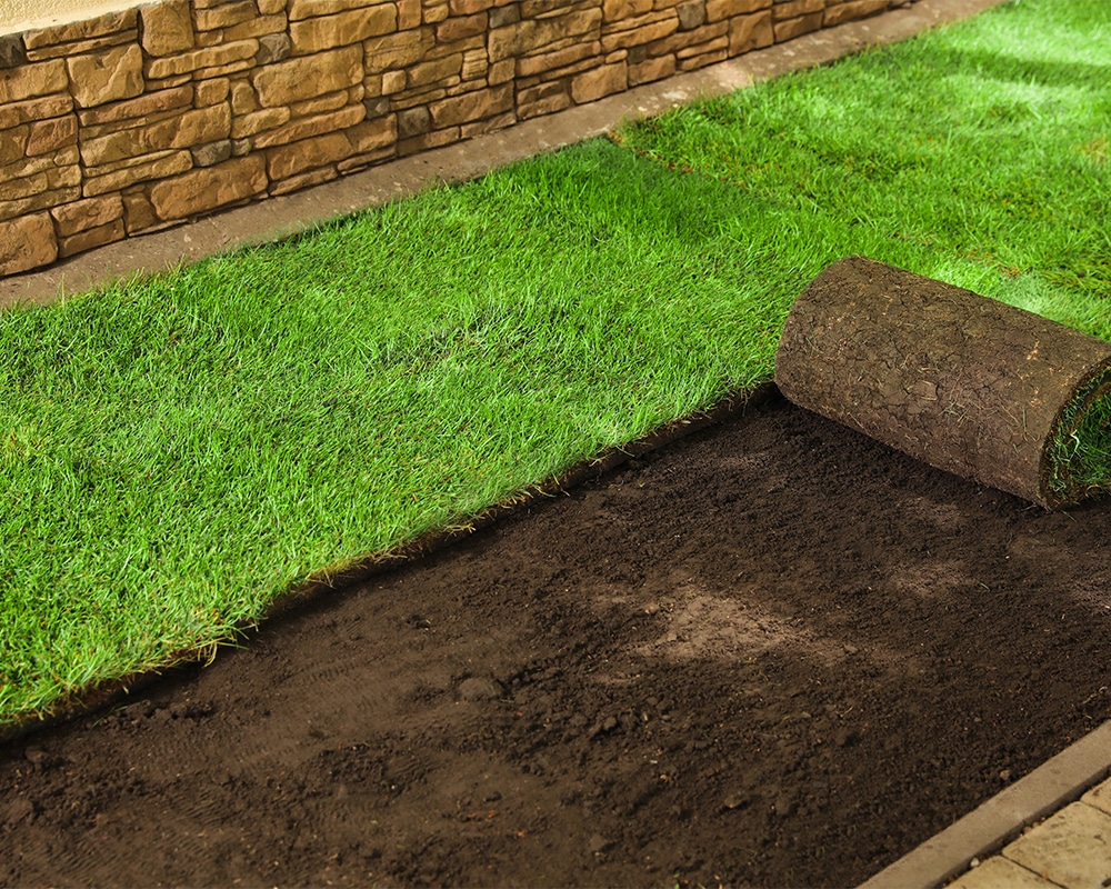 Sod Installation
