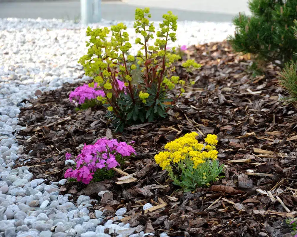 Mulch, Rock & Ground Cover