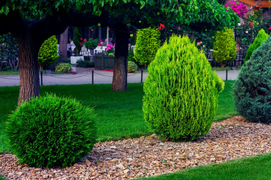 Professional mulch installation